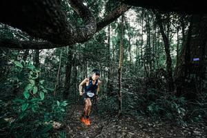 BIB: 
                            <button type="button" onclick="openModal(25390532)" class="btn btn-primary btn-sm float-right btn-popup" data-toggle="modal" data-target=".modal-high-quality">
                        <i class="fas fa-shopping-cart"></i> Add to Cart
                    </button>
                                            <button type="button" onclick="isThisMe(25390532, true)" class="btn btn-success btn-sm float-right btn-popup btn-isme hidden" data-toggle="tooltip" data-placement="bottom" title="นี่คือรูปของคุณใช่ไหม คลิกที่นี่เพื่อเอาเข้าอัลบั้ม">
                        <i class="fas fa-plus"></i> Add to album
                    </button>
                    <button type="button" onclick="isThisMe(25390532, false)" class="btn btn-warning btn-sm float-right btn-popup btn-isnotme hidden">
                        <i class="fas fa-ban"></i> Remove from album
                    </button>